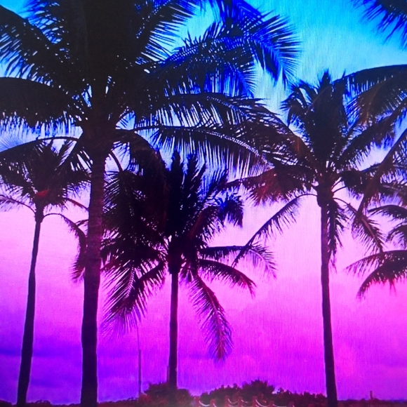 New one -piece suit Soft buttery Fabric.M-sz. - Picture 6 of 8